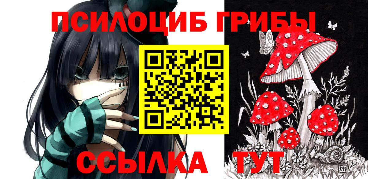 Махачкала  Галлюциногенные грибы мухоморы  где найти   Вход с VPN 