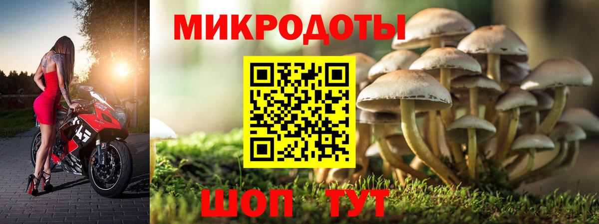 Псилоцибиновые грибы MAGIC MUSHROOMS Махачкала